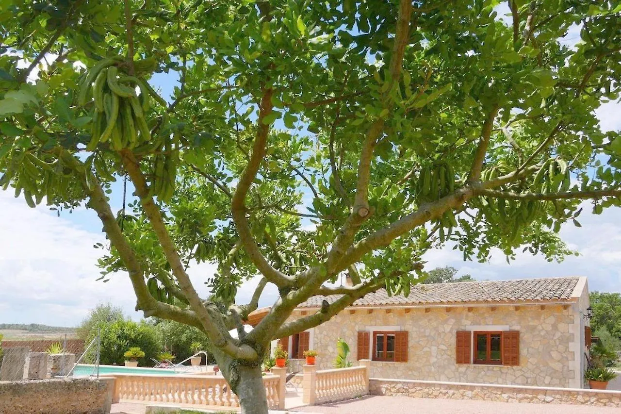 Casa Sa Rota Villa Ariany Holiday home